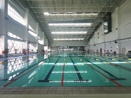 泳池水处理,泳池除藻剂